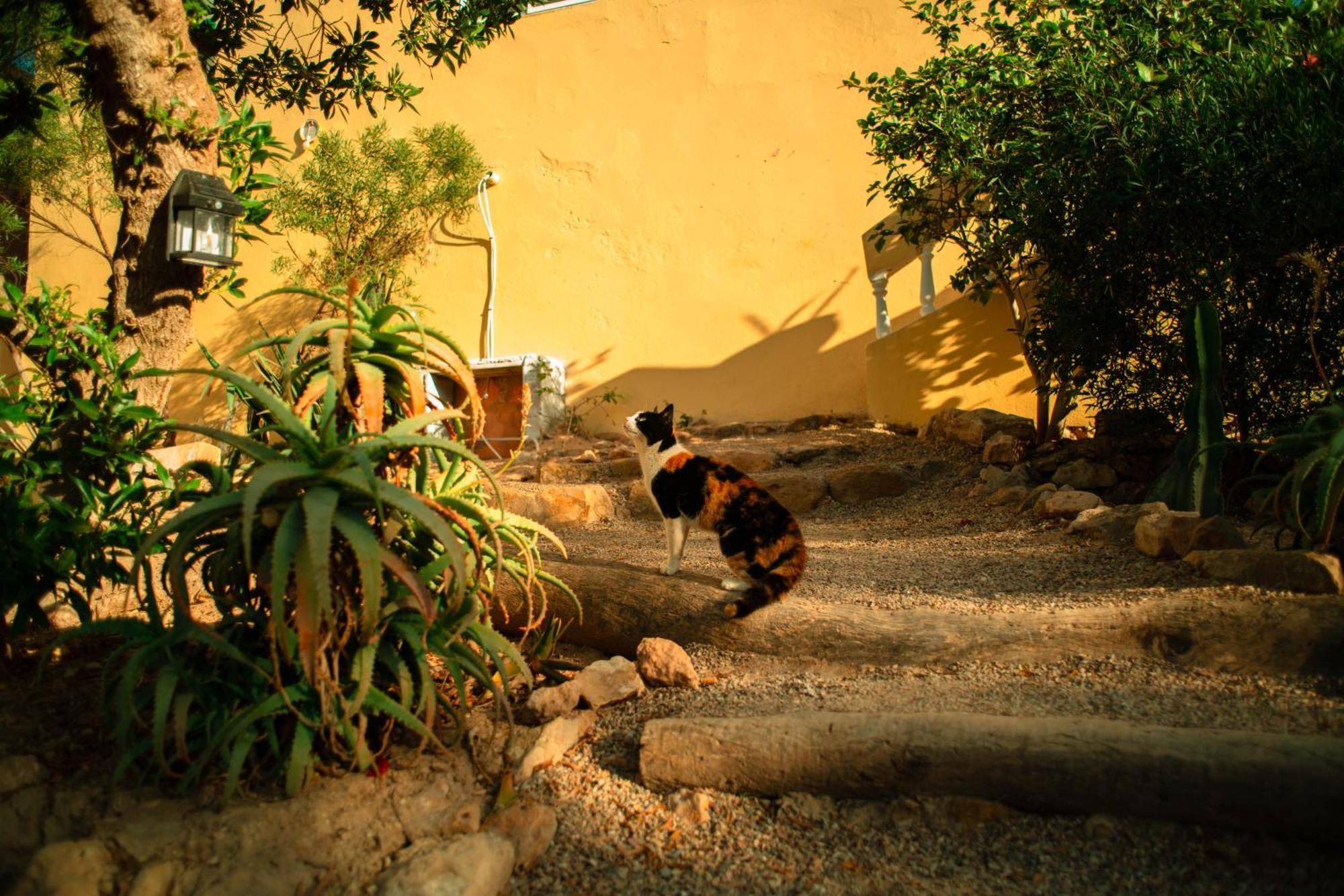 Easy Going Imsouane Exterior foto